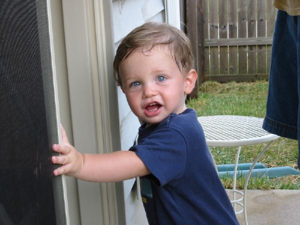 Harrison: "Let me IN!"