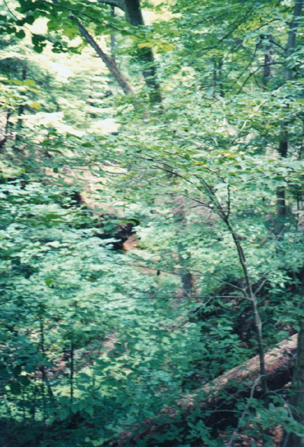 Look closely for the bigfoot.