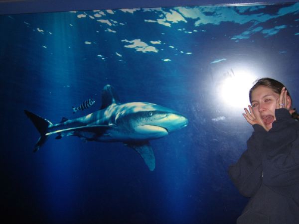 Shark attack.