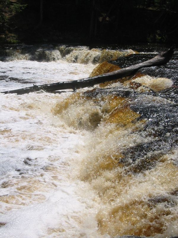 Lower Tahquamenon (?) Falls.