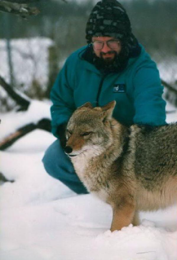 And a wolf in Wolf Park, Battleground IN.